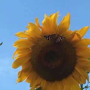 Meet your Posher, Aileena